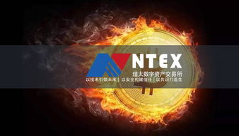 43993（探索神秘数字43993背后的故事）