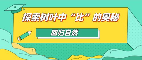 43499（探索数字世界中的秘密—关于数字43499的故事）