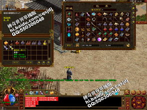 单机游戏（单机游戏，独立娱乐的魅力与深度体验）