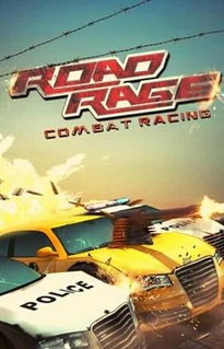 赛车游戏免费（赛车游戏免费，速度与激情的无价体验）