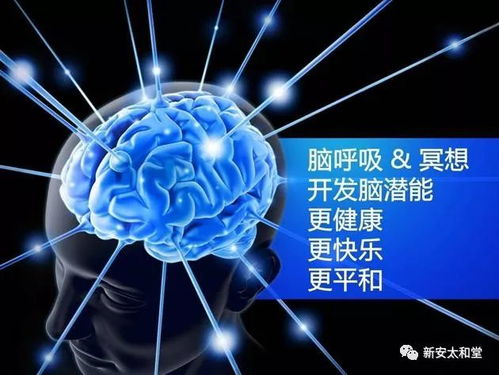 大脑训练网站(大脑训练网站,解锁潜能的新途径)