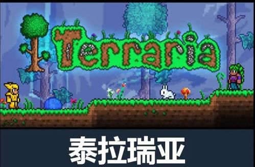 小游戏在线玩宝玩（小游戏在线玩宝玩，乐趣无穷的游戏世界探索之旅）