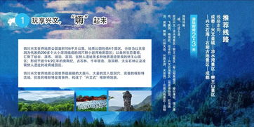 易起游(易起游,探索新时代的旅游方式)