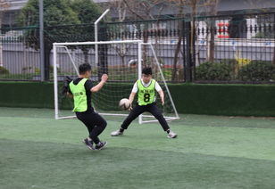 足球运动(足球运动,激情与策略的完美结合)