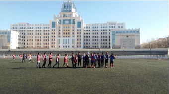 足球新闻新浪(新浪足球新闻,聚焦赛场动态,传递激情与热血)