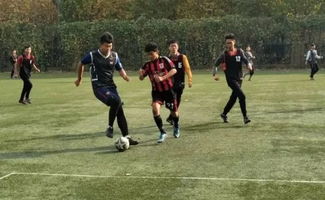 足球集锦（足球集锦，热血赛场，激情无限）