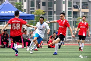 足球推荐（足球推荐，探索足球世界的精彩瞬间）