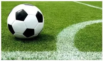 足球游戏电脑版（足球游戏电脑版，体验真实足球的魅力）