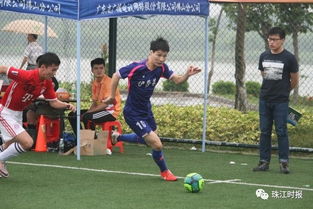 足球赛事（足球赛事，激情与荣耀的碰撞）