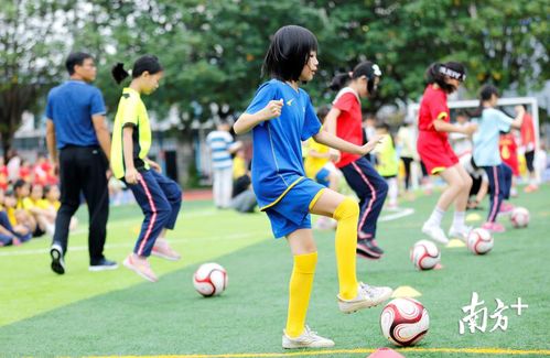 踢足球（踢足球，运动激情与团队协作的完美结合）