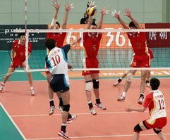 新浪体育（新浪体育，引领体育资讯新时代）