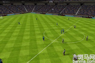 football games(足球盛宴,足球场上的激情与荣耀)