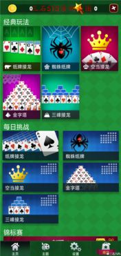 纸牌免费游戏大全（纸牌免费游戏大全，探索无尽的娱乐世界）