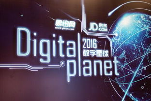 qqyx（QQYX，探索数字时代的全新可能）