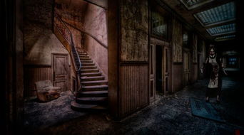 遗弃之地（遗弃之地的复苏之路）